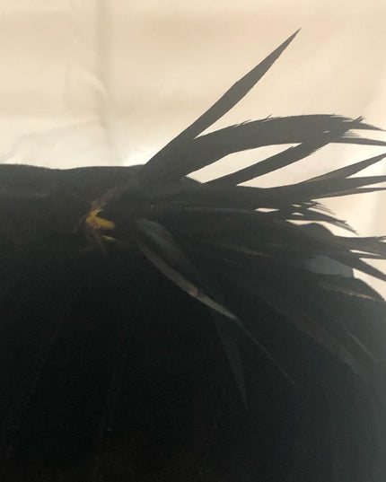 Vintage Black velvety hat w/ feather Paris Fashion