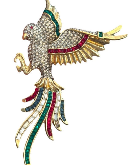 Birds Of Paradise Crystal Bird Brooch Rhinestone D Orlan