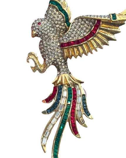 Birds Of Paradise Crystal Bird Brooch Rhinestone D Orlan
