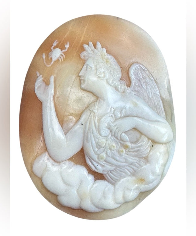 Antique Art Deco Unset Stunning Coral Shell Carved Angel Cameo with Scorpion