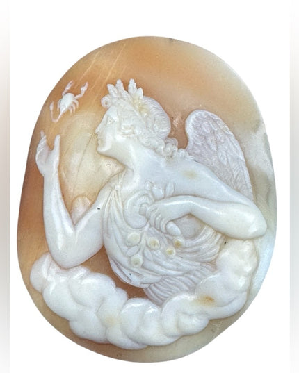 Antique Art Deco Unset Stunning Coral Shell Carved Angel Cameo with Scorpion