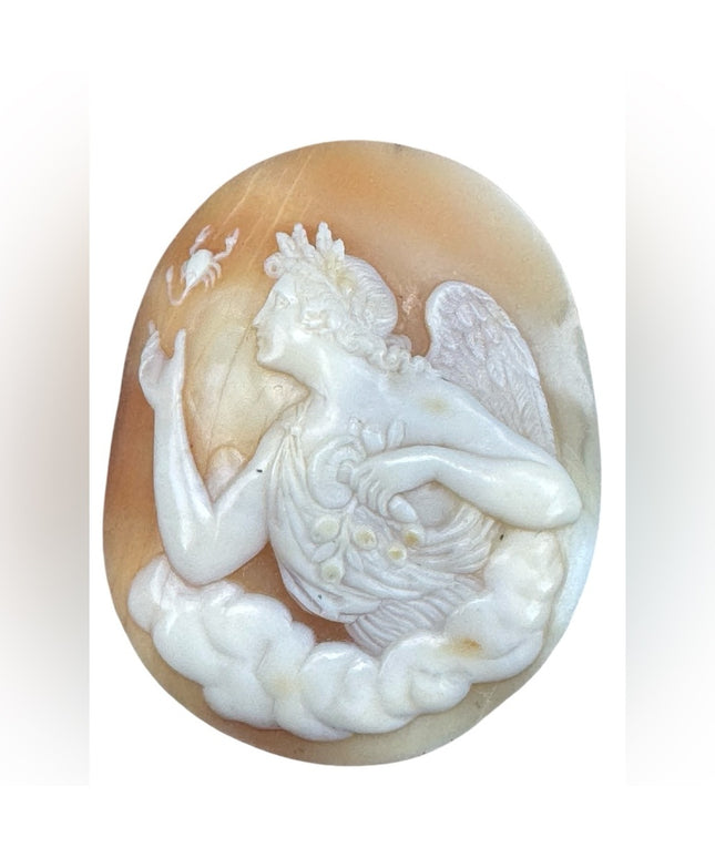 Antique Art Deco Unset Stunning Coral Shell Carved Angel Cameo with Scorpion