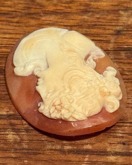 Vintage Stunning Carved Shell Cameo Brooch Unset