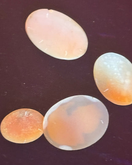Elegant Vintage Hand Carved Shell Unswt Cameo LOT X4
