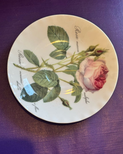 Roy Kirkham Redoute Roses Pattern Creamer and Saucer Set - White with Pink Roses